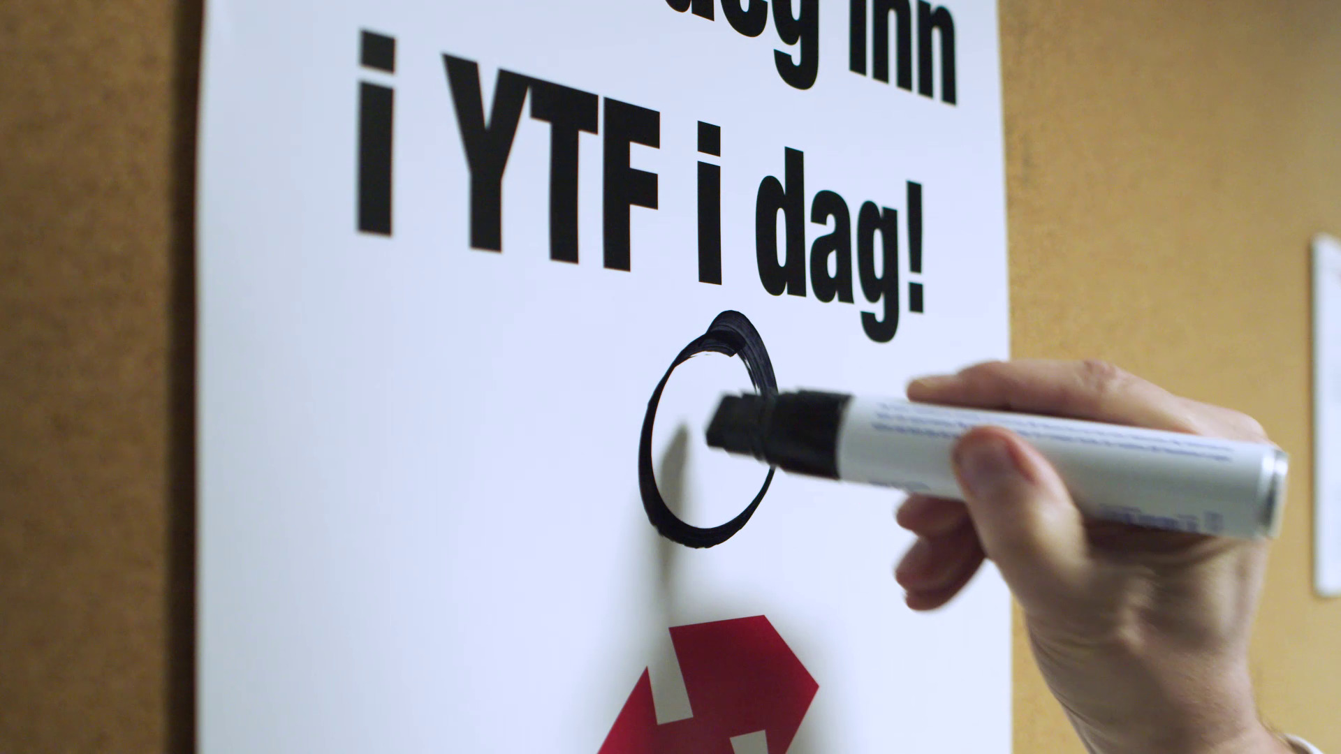 YTF_Belek